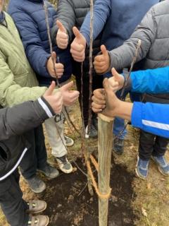 Acht hochgereckte Daumen am Bäumchen zeigen, dass die Kinder viel Spaß an der Pflanzaktion hatten.